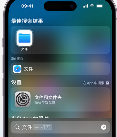 临县apple维修中心分享iPhone文件应用中存储和找到下载文件 