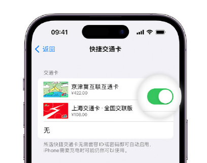 临县apple维修点分享iPhone上更换Apple Pay快捷交通卡手绘卡面 