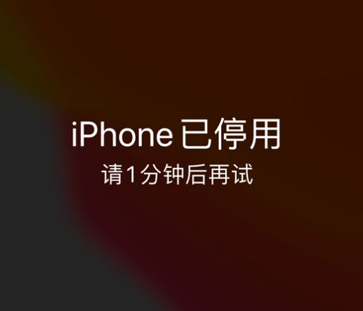 临县苹果手机维修分享:iPhone 显示“不可用”或“已停用”怎么办？还能保留数据吗？ 