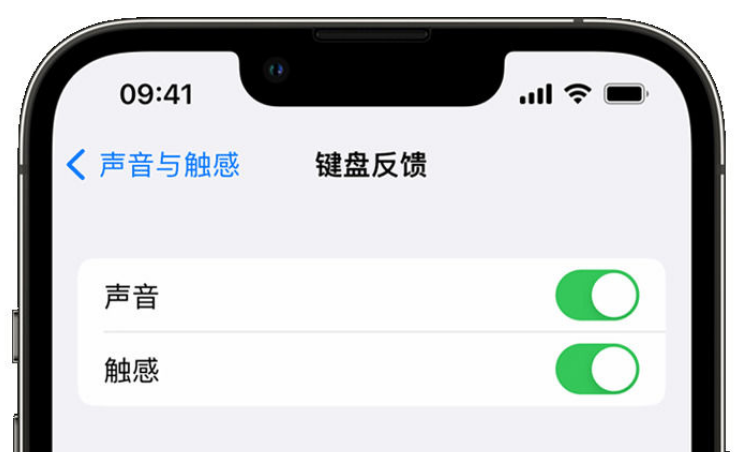 临县苹果手机维修分享iPhone 14触感键盘使用方法 