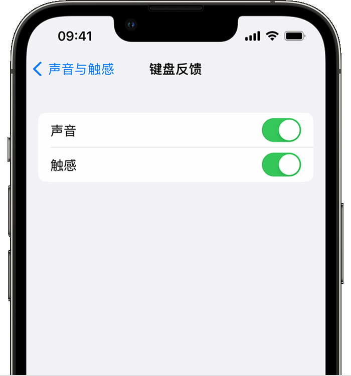 临县苹果14维修店分享如何在 iPhone 14 机型中使用触感键盘 