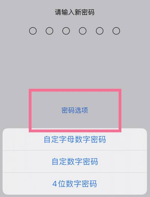 临县苹果14维修分享iPhone 14plus设置密码的方法 