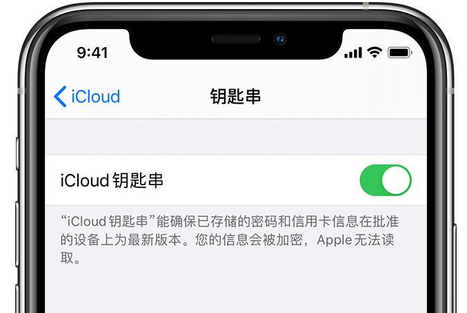 临县苹果手机维修分享在 iPhone 上开启 iCloud 钥匙串之后会储存哪些信息 