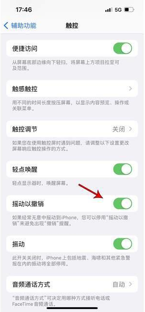 临县苹果手机维修分享iPhone手机如何设置摇一摇删除文字 